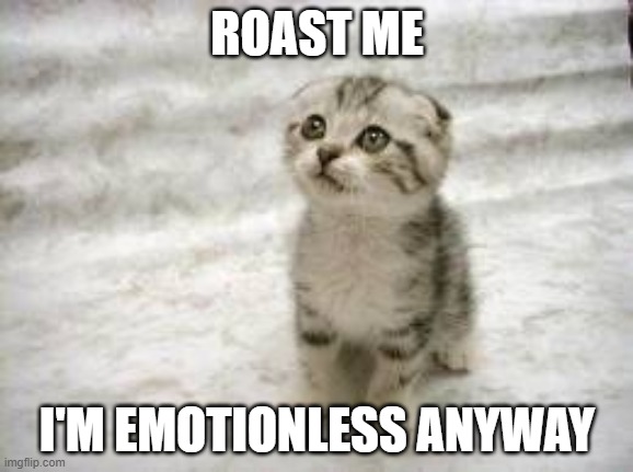 Sad Cat | ROAST ME; I'M EMOTIONLESS ANYWAY | image tagged in memes,sad cat | made w/ Imgflip meme maker