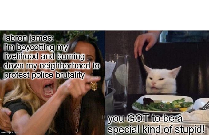 Woman Yelling At Cat | labron james: i'm boycotting my livelihood and burning down my neighborhood to protest police brutality; you GOT to be a special kind of stupid! | image tagged in memes,woman yelling at cat | made w/ Imgflip meme maker