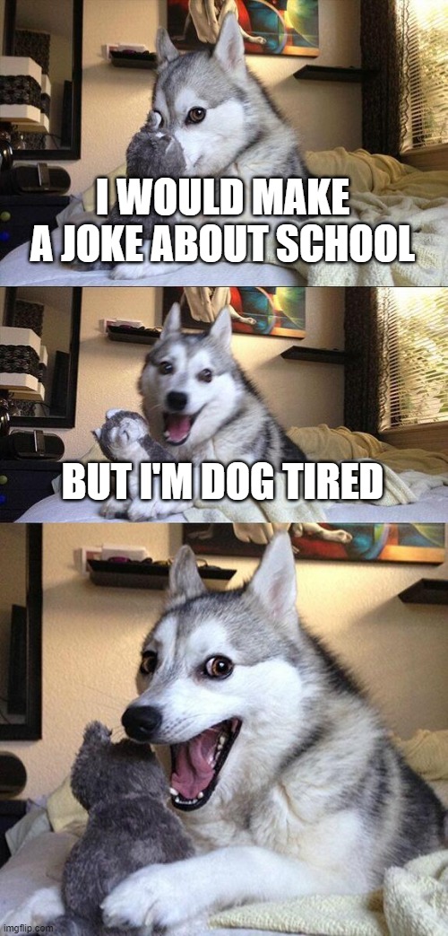 Im too tired | I WOULD MAKE A JOKE ABOUT SCHOOL; BUT I'M DOG TIRED | image tagged in memes,bad pun dog | made w/ Imgflip meme maker