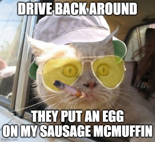 Conversations in the Drive Through | DRIVE BACK AROUND; THEY PUT AN EGG ON MY SAUSAGE MCMUFFIN | image tagged in memes,fear and loathing cat,egg,mcdonalds | made w/ Imgflip meme maker