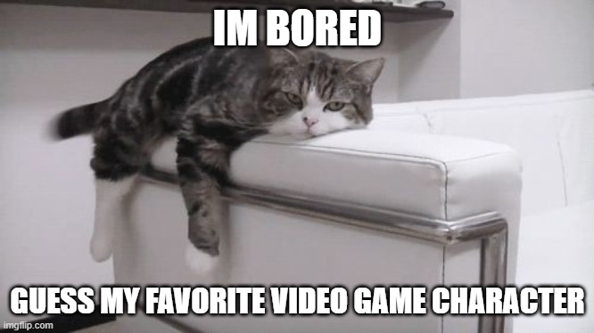 Bored cat | IM BORED; GUESS MY FAVORITE VIDEO GAME CHARACTER | image tagged in bored cat | made w/ Imgflip meme maker