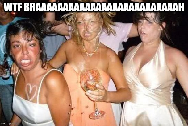 Fugly Party Girls | WTF BRAAAAAAAAAAAAAAAAAAAAAAAAAAH | image tagged in fugly party girls | made w/ Imgflip meme maker