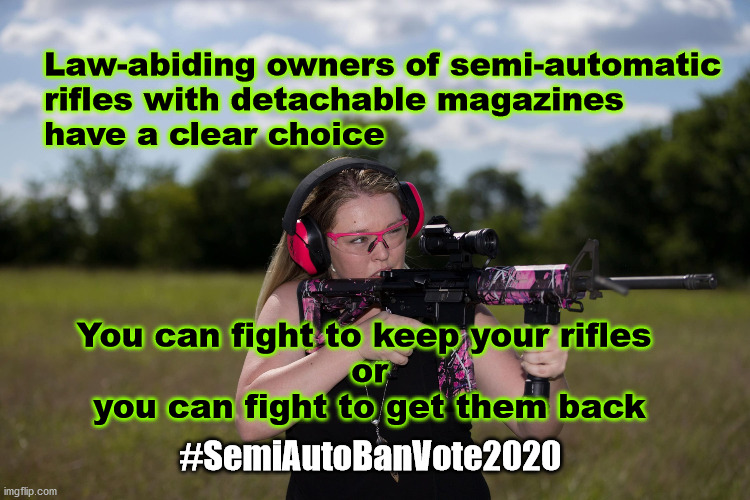 #SemiAutoBanVote2020 | Law-abiding owners of semi-automatic 
rifles with detachable magazines 
have a clear choice; You can fight to keep your rifles 
or
you can fight to get them back; #SemiAutoBanVote2020 | image tagged in 2nd amendment | made w/ Imgflip meme maker
