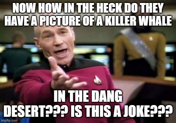 Picard Wtf Meme | NOW HOW IN THE HECK DO THEY HAVE A PICTURE OF A KILLER WHALE IN THE DANG DESERT??? IS THIS A JOKE??? | image tagged in memes,picard wtf | made w/ Imgflip meme maker