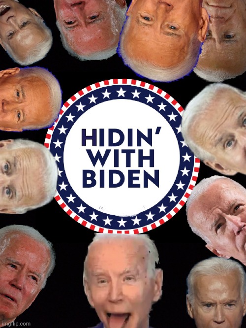 HIDIN WITH BIDEN | image tagged in joe biden,election 2020,hiding,donald trump approves | made w/ Imgflip meme maker