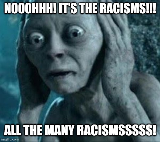smeagle | NOOOHHH! IT'S THE RACISMS!!! ALL THE MANY RACISMSSSSS! | image tagged in smeagle | made w/ Imgflip meme maker