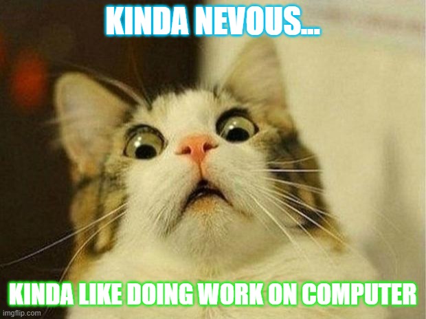 Scared Cat Meme | KINDA NEVOUS... KINDA LIKE DOING WORK ON COMPUTER | image tagged in memes,scared cat | made w/ Imgflip meme maker