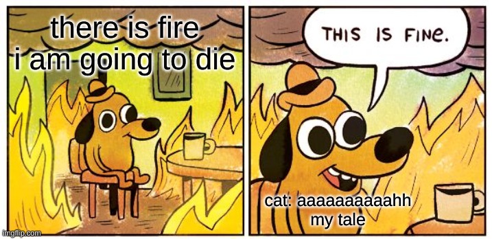 fire | there is fire
i am going to die; cat: aaaaaaaaaahh
my tale | image tagged in memes,this is fine | made w/ Imgflip meme maker