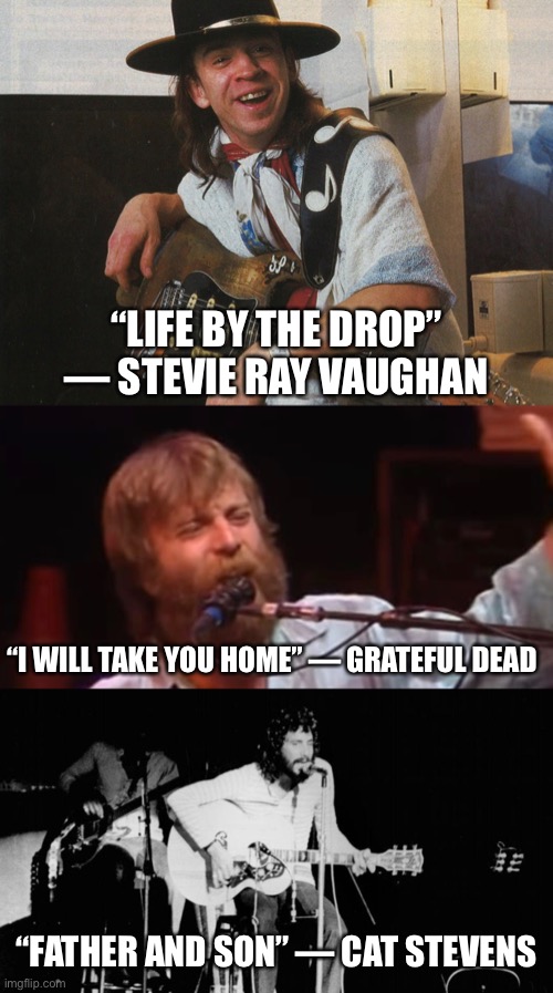 Name three songs that you shouldn’t listen to while cutting onions | “LIFE BY THE DROP” — STEVIE RAY VAUGHAN; “I WILL TAKE YOU HOME” — GRATEFUL DEAD; “FATHER AND SON” — CAT STEVENS | image tagged in stevie ray vaughan,grateful dead,cat stevens | made w/ Imgflip meme maker