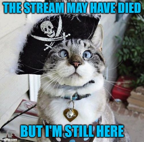 Spangles | THE STREAM MAY HAVE DIED; BUT I'M STILL HERE | image tagged in memes,spangles,don't let the flame die out | made w/ Imgflip meme maker