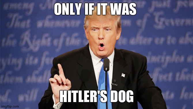 Donald Trump Wrong | ONLY IF IT WAS HITLER'S DOG | image tagged in donald trump wrong | made w/ Imgflip meme maker