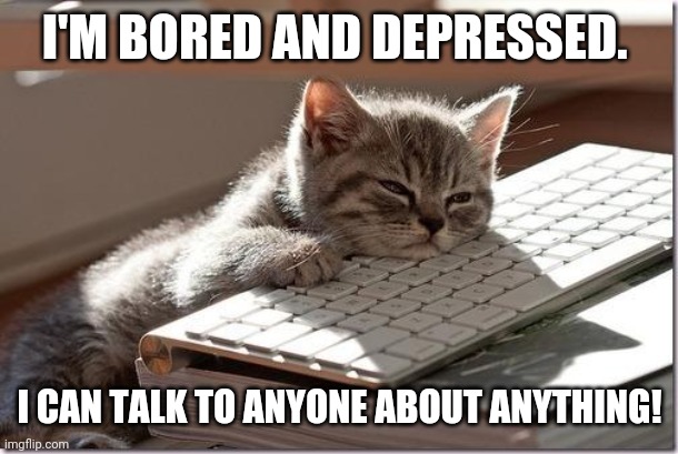 Bored Keyboard Cat | I'M BORED AND DEPRESSED. I CAN TALK TO ANYONE ABOUT ANYTHING! | image tagged in bored keyboard cat | made w/ Imgflip meme maker