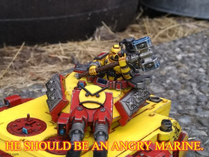 Angry Marine TC | HE SHOULD BE AN ANGRY MARINE. | image tagged in angry marine tc | made w/ Imgflip meme maker