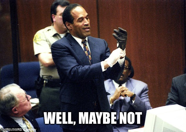 OJ Simpson Glove | WELL, MAYBE NOT | image tagged in oj simpson glove | made w/ Imgflip meme maker