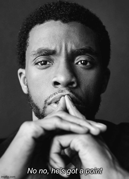 Chadwick Boseman no no he’s got a point. R.I.P. | image tagged in chadwick boseman no no he s got a point,no no hes got a point,no no he's got a point,new template,black and white,r i p | made w/ Imgflip meme maker
