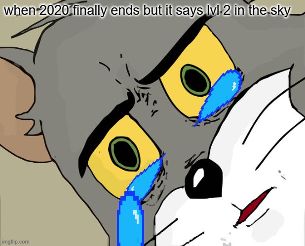 the big sad | when 2020 finally ends but it says lvl 2 in the sky | image tagged in memes,unsettled tom | made w/ Imgflip meme maker