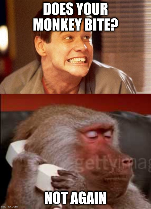 FROM tHE pARTY | DOES YOUR MONKEY BITE? NOT AGAIN | image tagged in can i take a message,jim | made w/ Imgflip meme maker