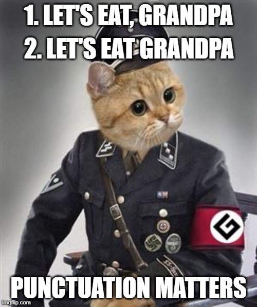 grammar nazi cat | 1. LET'S EAT, GRANDPA; 2. LET'S EAT GRANDPA; PUNCTUATION MATTERS | image tagged in grammar nazi cat,grammar nazi,nazi,memes,cat memes,cats | made w/ Imgflip meme maker