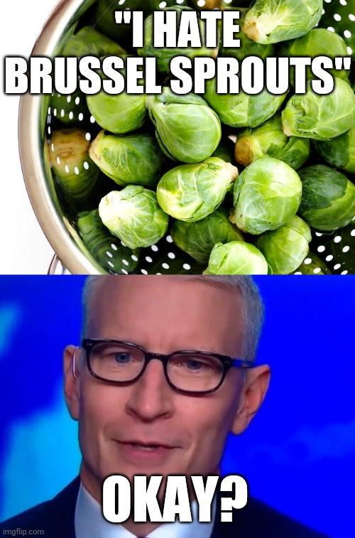 Jacob Blake Father CNN Interview With Confused Anderson Cooper About New Allegations Quote: I Hate Brussel Sprouts | "I HATE BRUSSEL SPROUTS"; OKAY? | image tagged in blm,cnn,news,lolz,vegan,hate | made w/ Imgflip meme maker