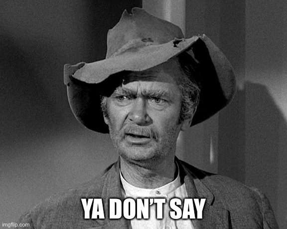 Jed Clampett | YA DON’T SAY | image tagged in jed clampett | made w/ Imgflip meme maker