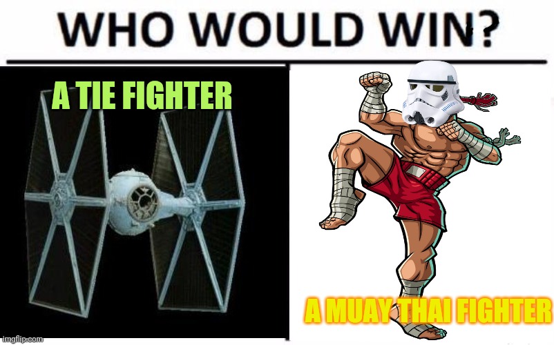 Tie fighters | A TIE FIGHTER; A MUAY THAI FIGHTER | image tagged in star wars,fighting,muay thai | made w/ Imgflip meme maker