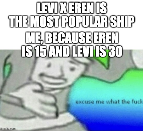 Excuse me wtf blank template | LEVI X EREN IS THE MOST POPULAR SHIP; ME, BECAUSE EREN IS 15 AND LEVI IS 30 | image tagged in excuse me wtf blank template | made w/ Imgflip meme maker