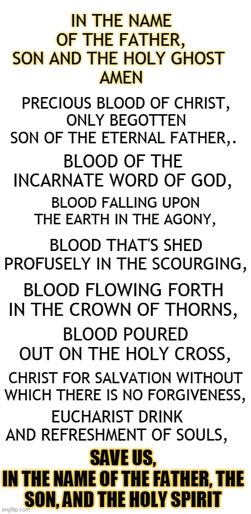 IN THE NAME OF THE FATHER, SON AND THE HOLY GHOST 
AMEN; PRECIOUS BLOOD OF CHRIST,
ONLY BEGOTTEN SON OF THE ETERNAL FATHER,. BLOOD OF THE INCARNATE WORD OF GOD, BLOOD FALLING UPON THE EARTH IN THE AGONY, BLOOD THAT'S SHED PROFUSELY IN THE SCOURGING, BLOOD FLOWING FORTH IN THE CROWN OF THORNS, BLOOD POURED OUT ON THE HOLY CROSS, CHRIST FOR SALVATION WITHOUT WHICH THERE IS NO FORGIVENESS, EUCHARIST DRINK AND REFRESHMENT OF SOULS, SAVE US,
IN THE NAME OF THE FATHER, THE SON, AND THE HOLY SPIRIT | made w/ Imgflip meme maker