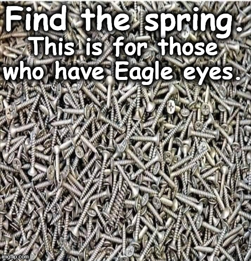 spring | Find the spring. This is for those who have Eagle eyes. | image tagged in spring | made w/ Imgflip meme maker