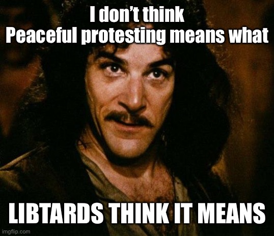 Inigo Montoya Meme | I don’t think
Peaceful protesting means what LIBTARDS THINK IT MEANS | image tagged in memes,inigo montoya | made w/ Imgflip meme maker