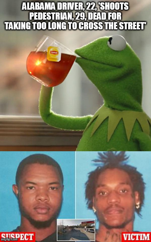 ALABAMA DRIVER, 22, 'SHOOTS PEDESTRIAN, 29, DEAD FOR TAKING TOO LONG TO CROSS THE STREET' | image tagged in memes,but that's none of my business | made w/ Imgflip meme maker