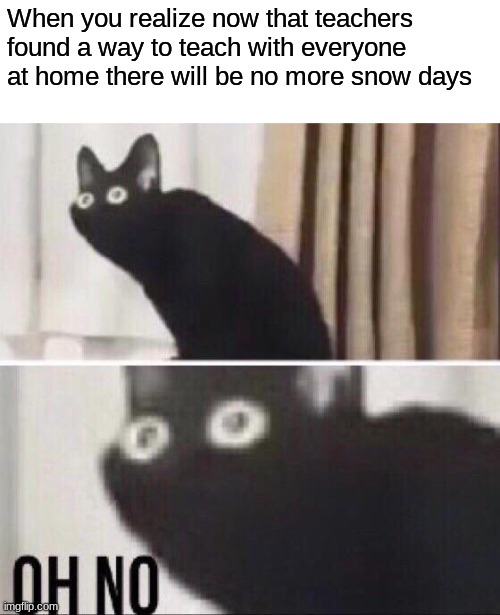 NUUUUUUUUUUUUUUUUUUUU | When you realize now that teachers found a way to teach with everyone at home there will be no more snow days | image tagged in oh no cat | made w/ Imgflip meme maker