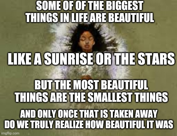 Little things | SOME OF OF THE BIGGEST THINGS IN LIFE ARE BEAUTIFUL; LIKE A SUNRISE OR THE STARS; BUT THE MOST BEAUTIFUL THINGS ARE THE SMALLEST THINGS; AND ONLY ONCE THAT IS TAKEN AWAY DO WE TRULY REALIZE HOW BEAUTIFUL IT WAS | image tagged in beauty | made w/ Imgflip meme maker
