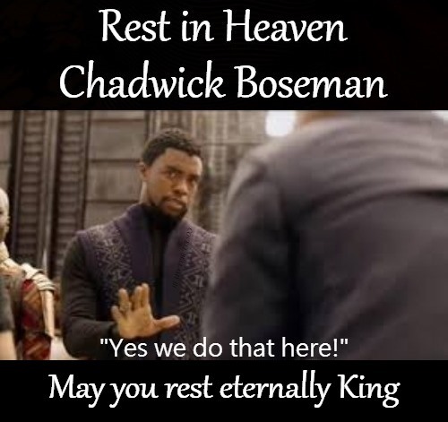 High Quality Black Panther Chadwick Boseman Rest In Heaven King Blank Meme Template