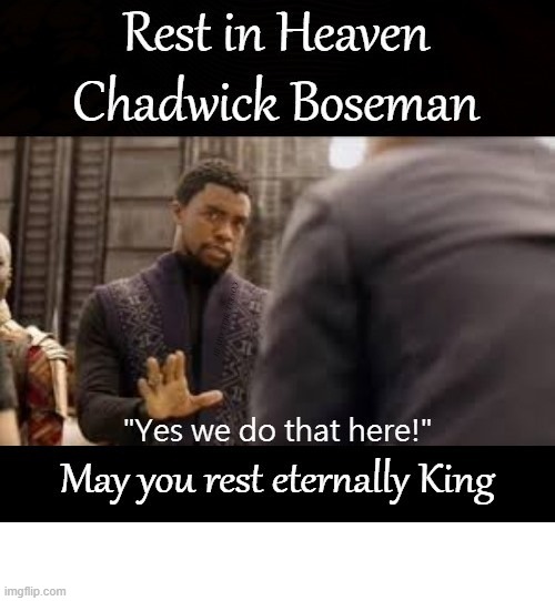 Black Panther Chadwick Boseman Rest In Heaven King | image tagged in black panther chadwick boseman rest in heaven king | made w/ Imgflip meme maker