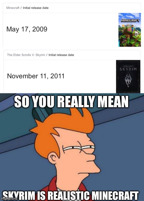 SO YOU REALLY MEAN SKYRIM IS REALISTIC MINECRAFT | image tagged in memes,futurama fry | made w/ Imgflip meme maker
