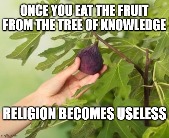 Tree of Knowledge | ONCE YOU EAT THE FRUIT FROM THE TREE OF KNOWLEDGE; RELIGION BECOMES USELESS | image tagged in tree of knowledge | made w/ Imgflip meme maker