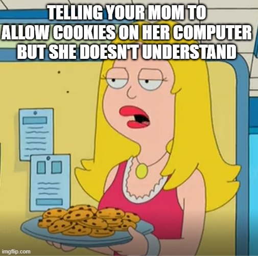 cookies | TELLING YOUR MOM TO ALLOW COOKIES ON HER COMPUTER BUT SHE DOESN'T UNDERSTAND | image tagged in cookies,mom,computer,dumb,memes,funny | made w/ Imgflip meme maker
