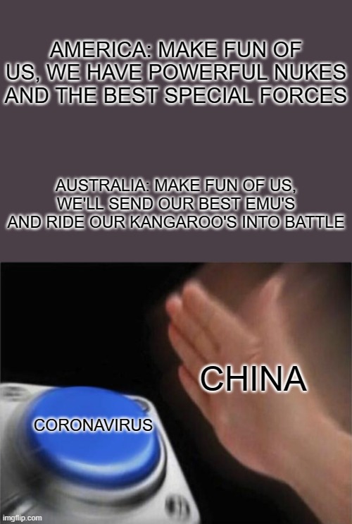 Blank Nut Button | AMERICA: MAKE FUN OF US, WE HAVE POWERFUL NUKES AND THE BEST SPECIAL FORCES; AUSTRALIA: MAKE FUN OF US, WE'LL SEND OUR BEST EMU'S AND RIDE OUR KANGAROO'S INTO BATTLE; CHINA; CORONAVIRUS | image tagged in memes,blank nut button | made w/ Imgflip meme maker