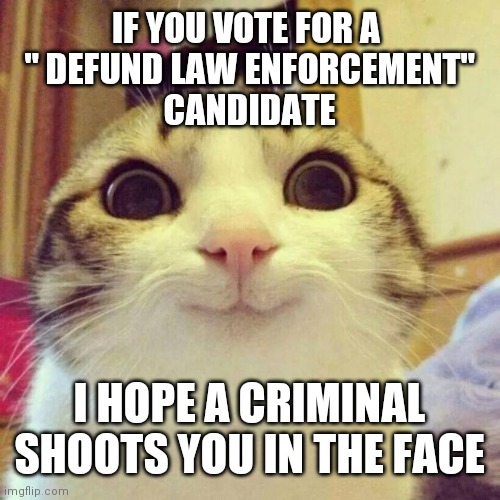 Smiling Cat Hates Idiots | IF YOU VOTE FOR A 
" DEFUND LAW ENFORCEMENT"
CANDIDATE; I HOPE A CRIMINAL SHOOTS YOU IN THE FACE | image tagged in memes,smiling cat | made w/ Imgflip meme maker