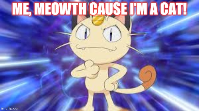 ME, MEOWTH CAUSE I'M A CAT! | made w/ Imgflip meme maker