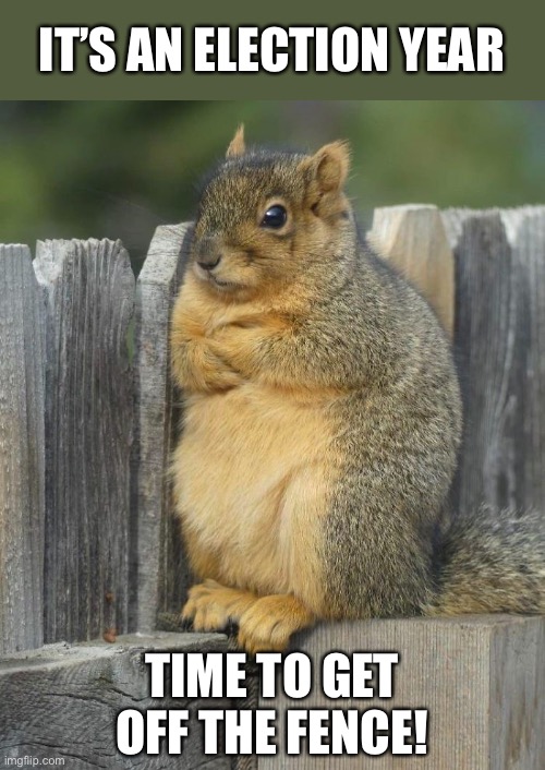 Don’t Waste Your Vote | IT’S AN ELECTION YEAR; TIME TO GET OFF THE FENCE! | image tagged in funny memes,squirrel,voting,election 2020 | made w/ Imgflip meme maker