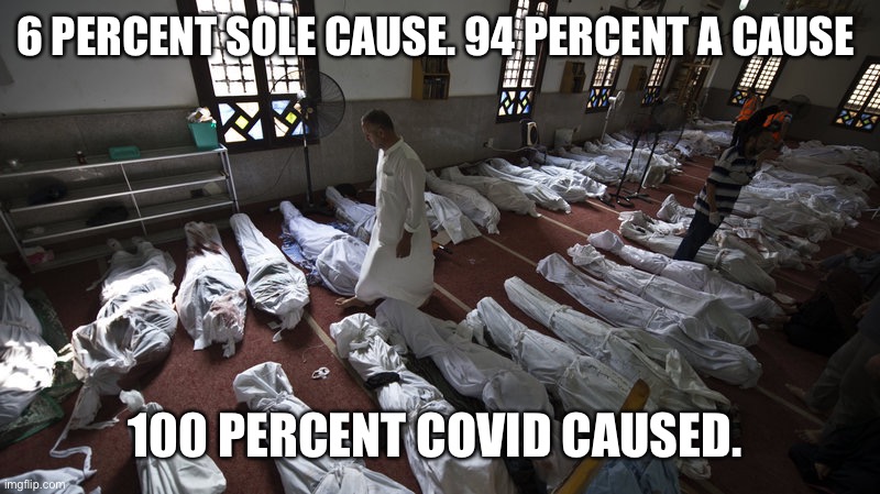 Gang bang in a morgue | 6 PERCENT SOLE CAUSE. 94 PERCENT A CAUSE; 100 PERCENT COVID CAUSED. | image tagged in gang bang in a morgue | made w/ Imgflip meme maker