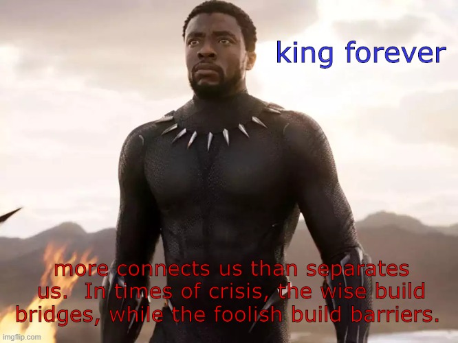 king forever | king forever; more connects us than separates us.  In times of crisis, the wise build bridges, while the foolish build barriers. | image tagged in rip | made w/ Imgflip meme maker