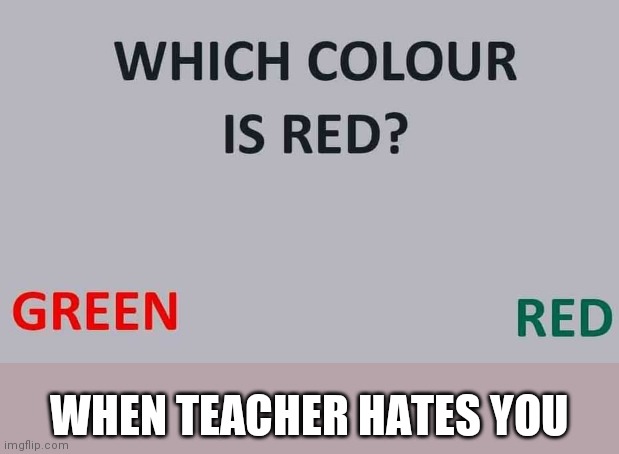 Lol memes |  WHEN TEACHER HATES YOU | image tagged in teacher,school | made w/ Imgflip meme maker