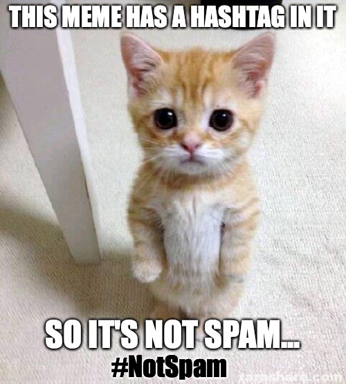 Hashtagged, so not spam... | THIS MEME HAS A HASHTAG IN IT; SO IT'S NOT SPAM... #NotSpam | image tagged in cute cat,not spam,hashtag,meme | made w/ Imgflip meme maker