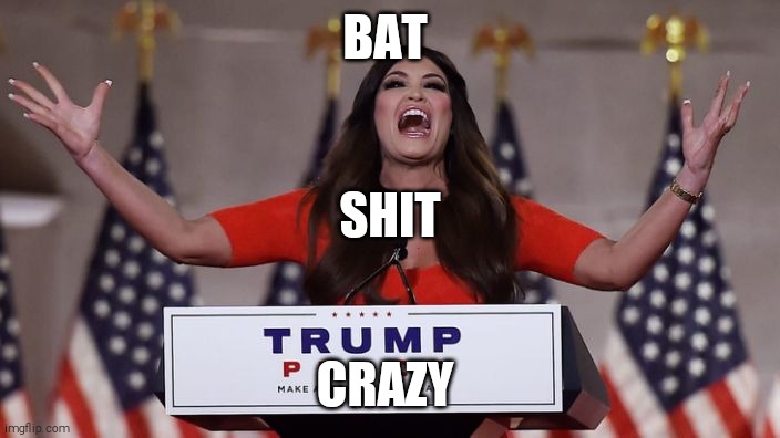 Kimberly Guilfoyle | BAT CRAZY SHIT | image tagged in kimberly guilfoyle | made w/ Imgflip meme maker