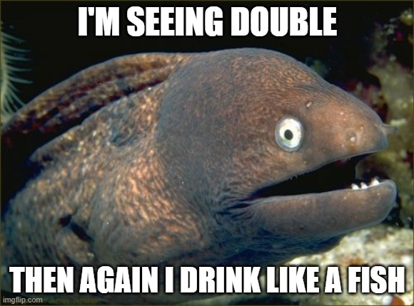 Needs glasses | I'M SEEING DOUBLE; THEN AGAIN I DRINK LIKE A FISH | image tagged in memes,bad joke eel,drink,seeing double,foreigner | made w/ Imgflip meme maker