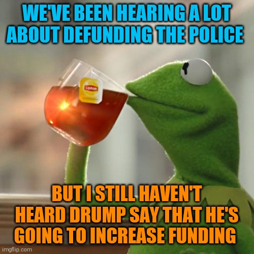 But That's None Of My Business | WE'VE BEEN HEARING A LOT ABOUT DEFUNDING THE POLICE; BUT I STILL HAVEN'T HEARD DRUMP SAY THAT HE'S GOING TO INCREASE FUNDING | image tagged in memes,but that's none of my business,kermit the frog | made w/ Imgflip meme maker