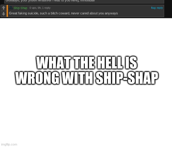 WHAT THE HELL IS WRONG WITH SHIP-SHAP | image tagged in blank white template | made w/ Imgflip meme maker