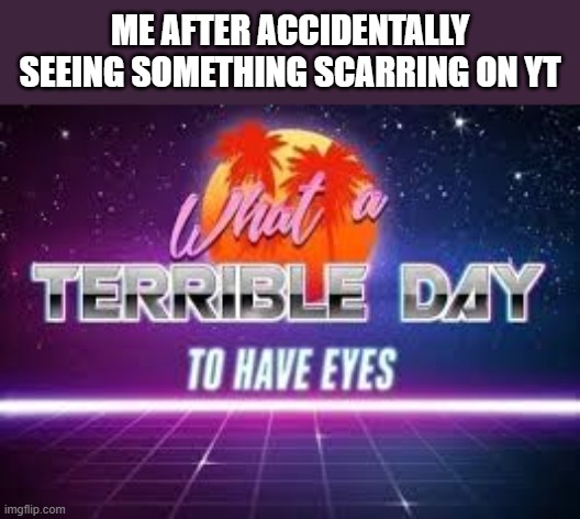 what a terrible day to have eyes | ME AFTER ACCIDENTALLY SEEING SOMETHING SCARRING ON YT | image tagged in what a terrible day to have eyes | made w/ Imgflip meme maker